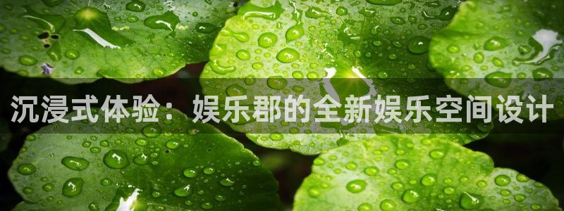 888贵宾会官网